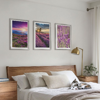 Set di 3 quadri Tramonto sui campi di lavanda