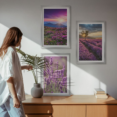 Set di 3 quadri Tramonto sui campi di lavanda