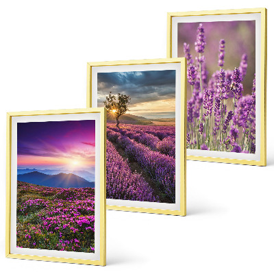 Set di 3 quadri Tramonto sui campi di lavanda