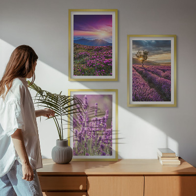 Set di 3 quadri Tramonto sui campi di lavanda