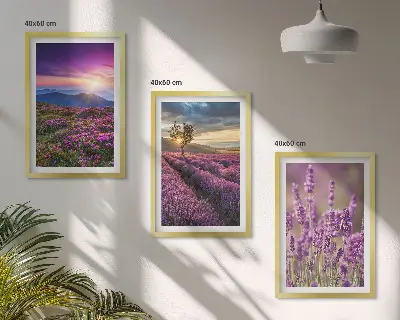 Tramonto sui campi di lavanda set di 3 quadri