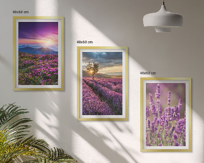 Set di 3 quadri Tramonto sui campi di lavanda