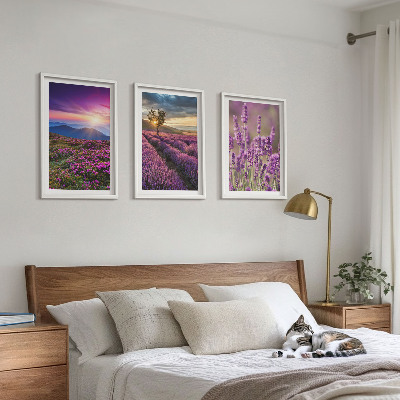 Set di 3 quadri Tramonto sui campi di lavanda