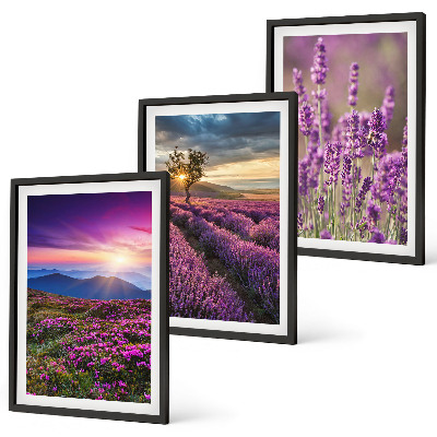 Set di 3 quadri Tramonto sui campi di lavanda