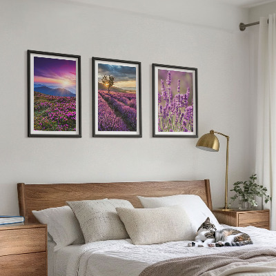Set di 3 quadri Tramonto sui campi di lavanda
