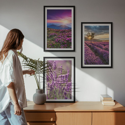 Set di 3 quadri Tramonto sui campi di lavanda
