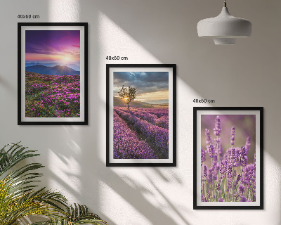 Set di 3 quadri Tramonto sui campi di lavanda