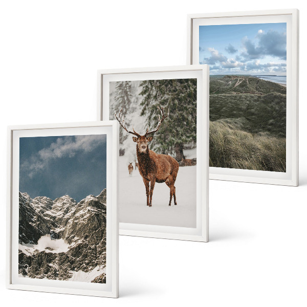 Composizione di quadri Montagne, cervi delle nevi, paesaggio forestale