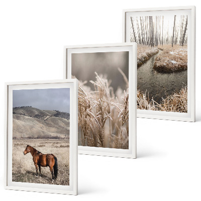Set di quadri incorniciati Cavalli paesaggio erba ruscello