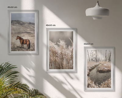 Set di quadri incorniciati Cavalli paesaggio erba ruscello