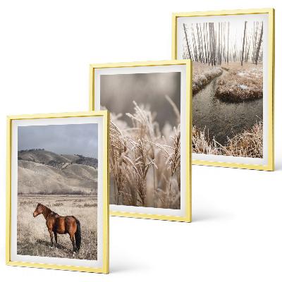 Set di quadri incorniciati Cavalli paesaggio erba ruscello