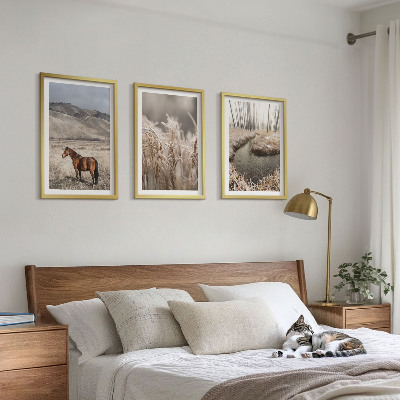 Set di quadri incorniciati Cavalli paesaggio erba ruscello