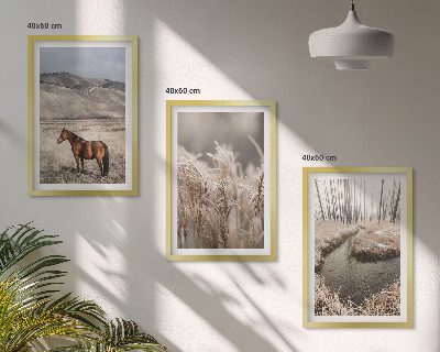 Set di quadri incorniciati Cavalli paesaggio erba ruscello
