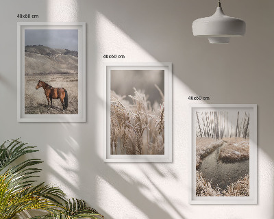 Set di quadri incorniciati Cavalli paesaggio erba ruscello