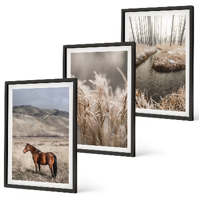 Set di quadri incorniciati Cavalli paesaggio erba ruscello