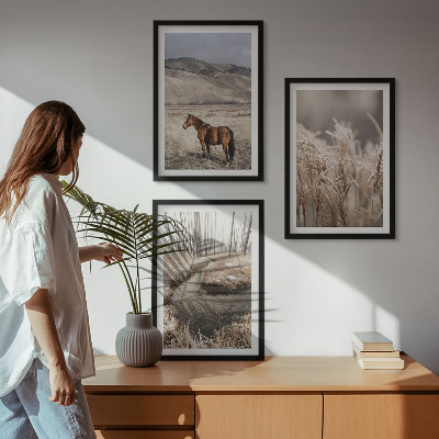 Set di quadri incorniciati Cavalli paesaggio erba ruscello