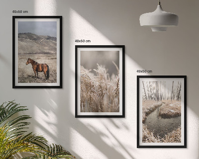 Set di quadri incorniciati Cavalli paesaggio erba ruscello