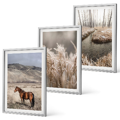 Set di quadri incorniciati Cavalli paesaggio erba ruscello