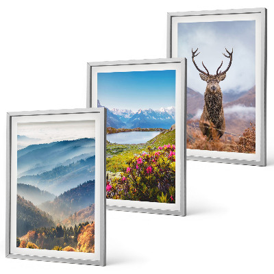Composizione di quadri lago di montagna cervo natura
