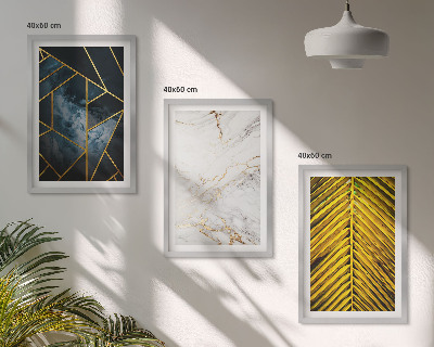 Set di 3 quadri Motivi geometrici e vegetazione