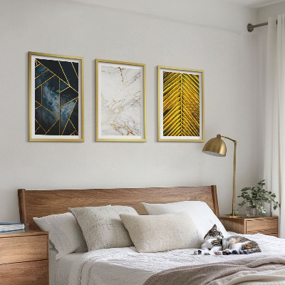 Set di 3 quadri Motivi geometrici e vegetazione