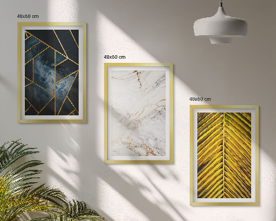Set di 3 quadri Motivi geometrici e vegetazione