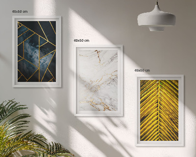 Set di 3 quadri Motivi geometrici e vegetazione
