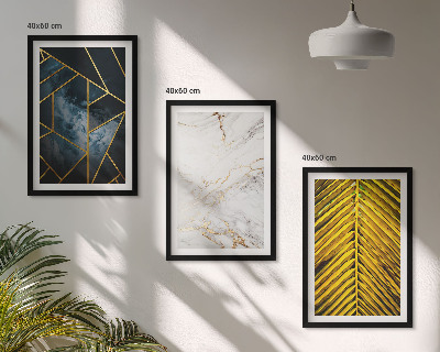 Set di 3 quadri Motivi geometrici e vegetazione