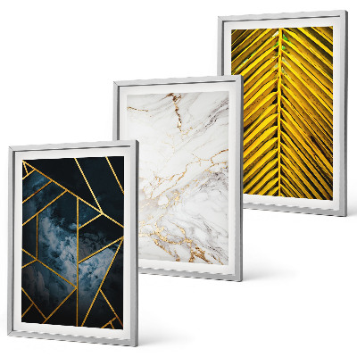 Set di 3 quadri Motivi geometrici e vegetazione
