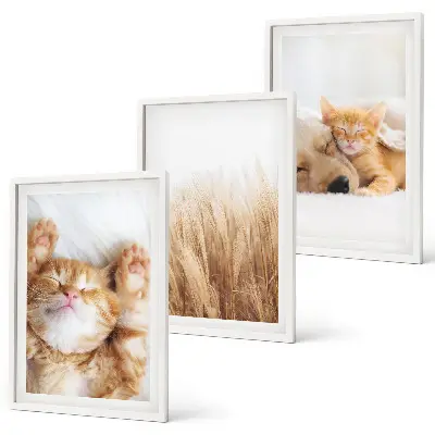 Set di quadri incorniciati con animali carini come gatti e cani in stile boho