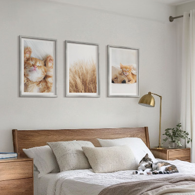 Set di quadri incorniciati Animali carini gatti cani boho