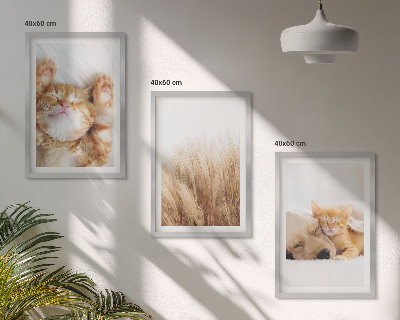 Set di quadri incorniciati Animali carini gatti cani boho