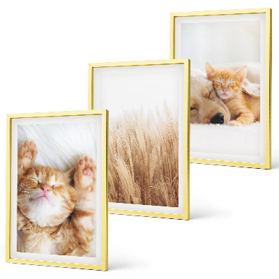 Set di quadri incorniciati Animali carini gatti cani boho