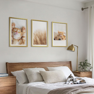 Set di quadri incorniciati Animali carini gatti cani boho