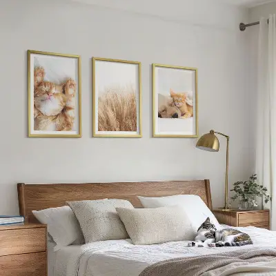 Set di quadri incorniciati con animali carini come gatti e cani in stile boho