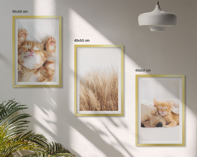 Set di quadri incorniciati Animali carini gatti cani boho