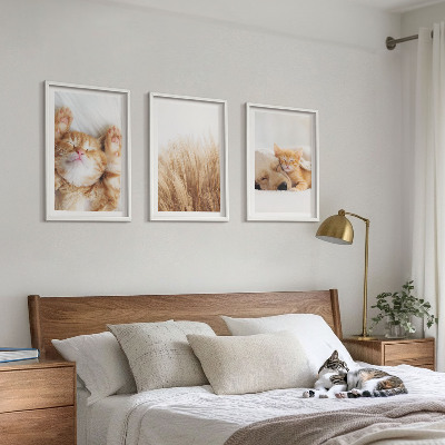 Set di quadri incorniciati Animali carini gatti cani boho