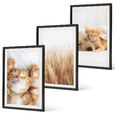 Set di quadri incorniciati Animali carini gatti cani boho