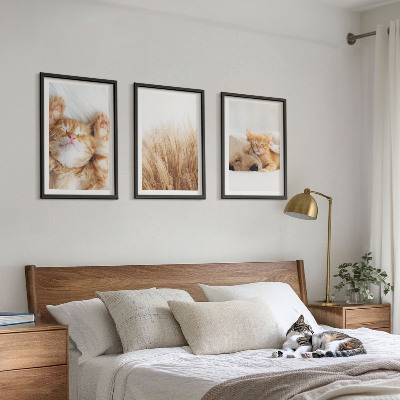 Set di quadri incorniciati Animali carini gatti cani boho