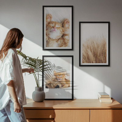 Set di quadri incorniciati Animali carini gatti cani boho