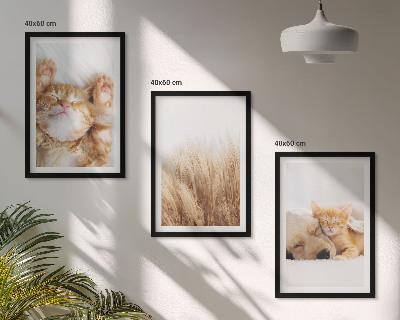 Set di quadri incorniciati Animali carini gatti cani boho