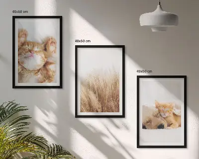 Set di quadri incorniciati con animali carini come gatti e cani in stile boho