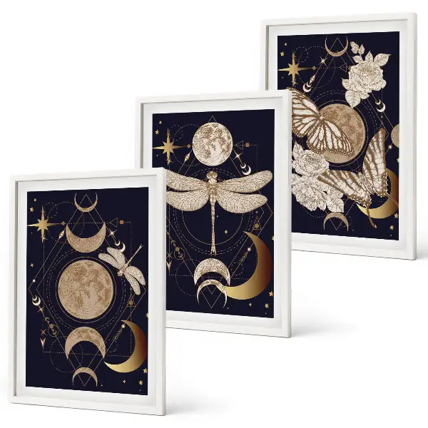 Set di 3 quadri con motivi naturalistici e fiori di luna
