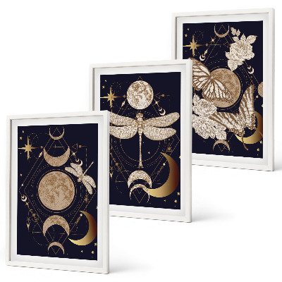 Set di 3 quadri Motivi naturalistici, fiori di luna