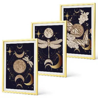 Set di 3 quadri con motivi naturalistici e fiori di luna