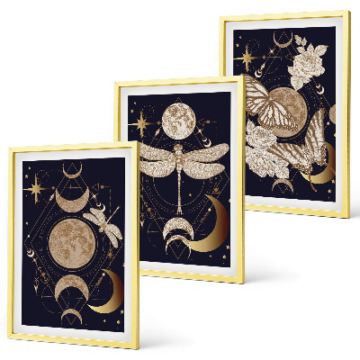 Set di 3 quadri Motivi naturalistici, fiori di luna