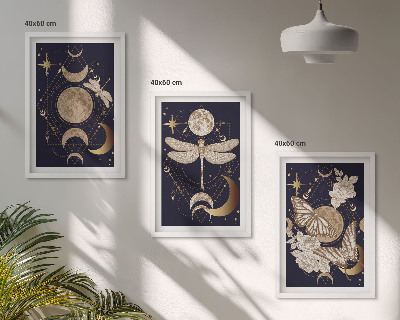 Set di 3 quadri Motivi naturalistici, fiori di luna