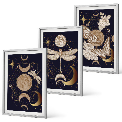 Set di 3 quadri Motivi naturalistici, fiori di luna