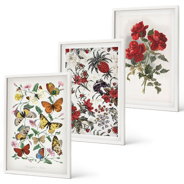 Composizione di quadri Farfalle fiori rose rosse