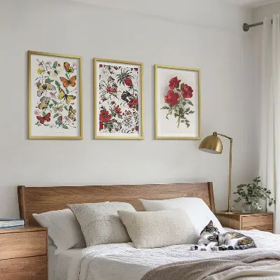 Composizione di quadri con farfalle fiori e rose rosse